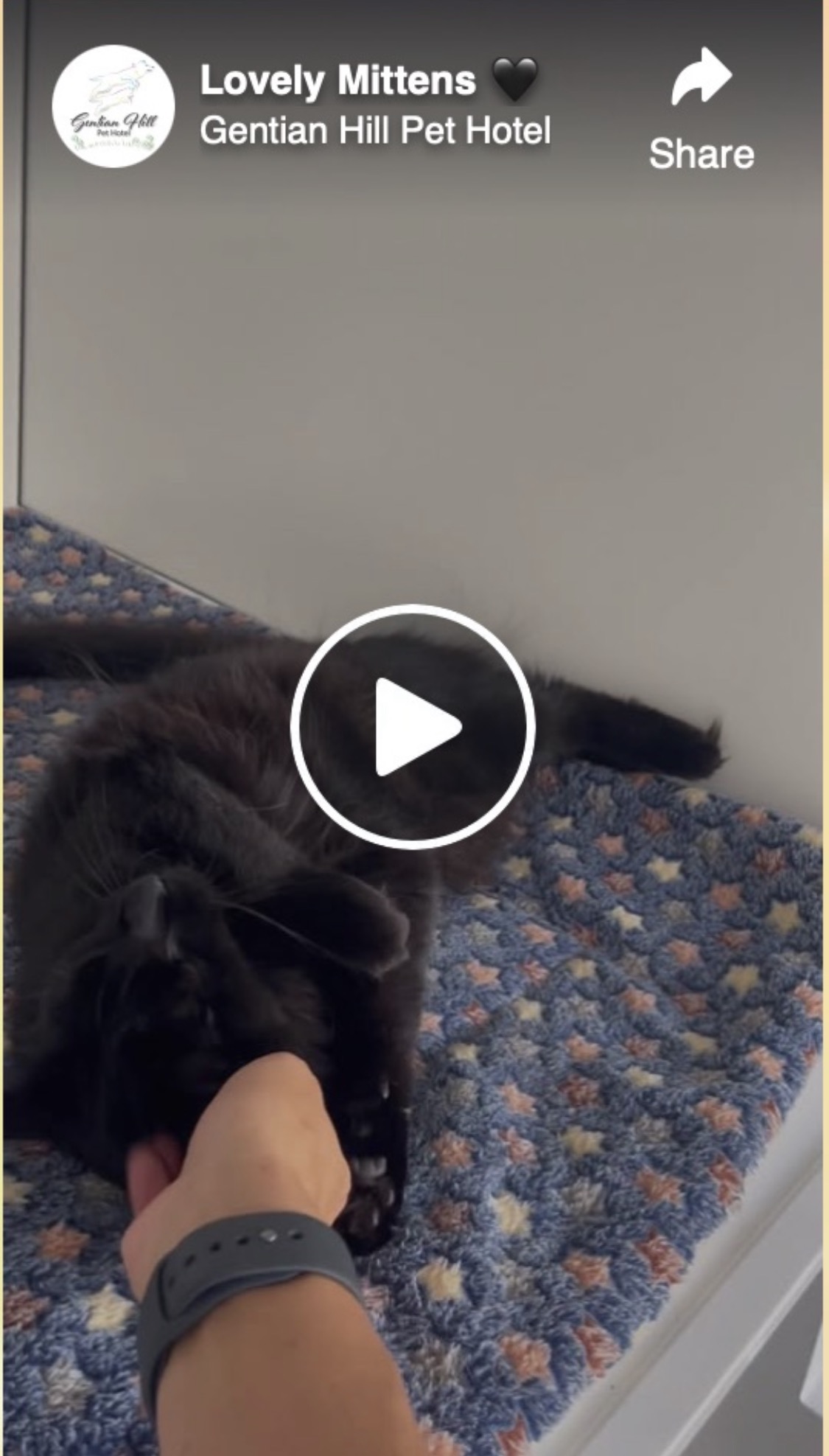 Mittens