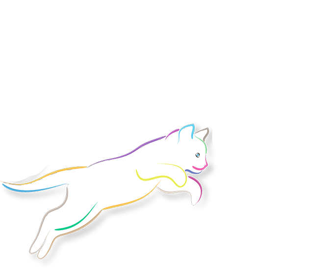 Cat jumping playfully: an illustration taken from our logo of a white cat with a body border of cheerful colours, jumping from left to right and full of joy