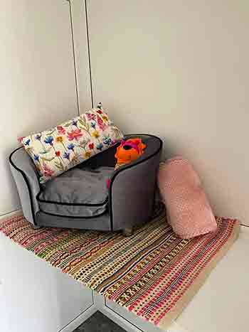 Grey velvet sofa cat bed with colourful non-slip rug underneath and cheerful flowery cushuion, toys and a soft pink velvet throw