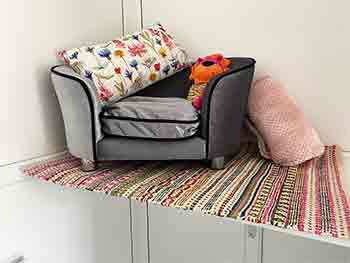 Luxury grey velvet cat sofa with pretty cushion, toys, throw and non-slip rug