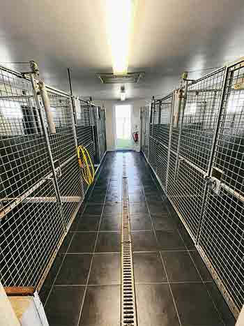 Kennel safety corridor after cleaning
