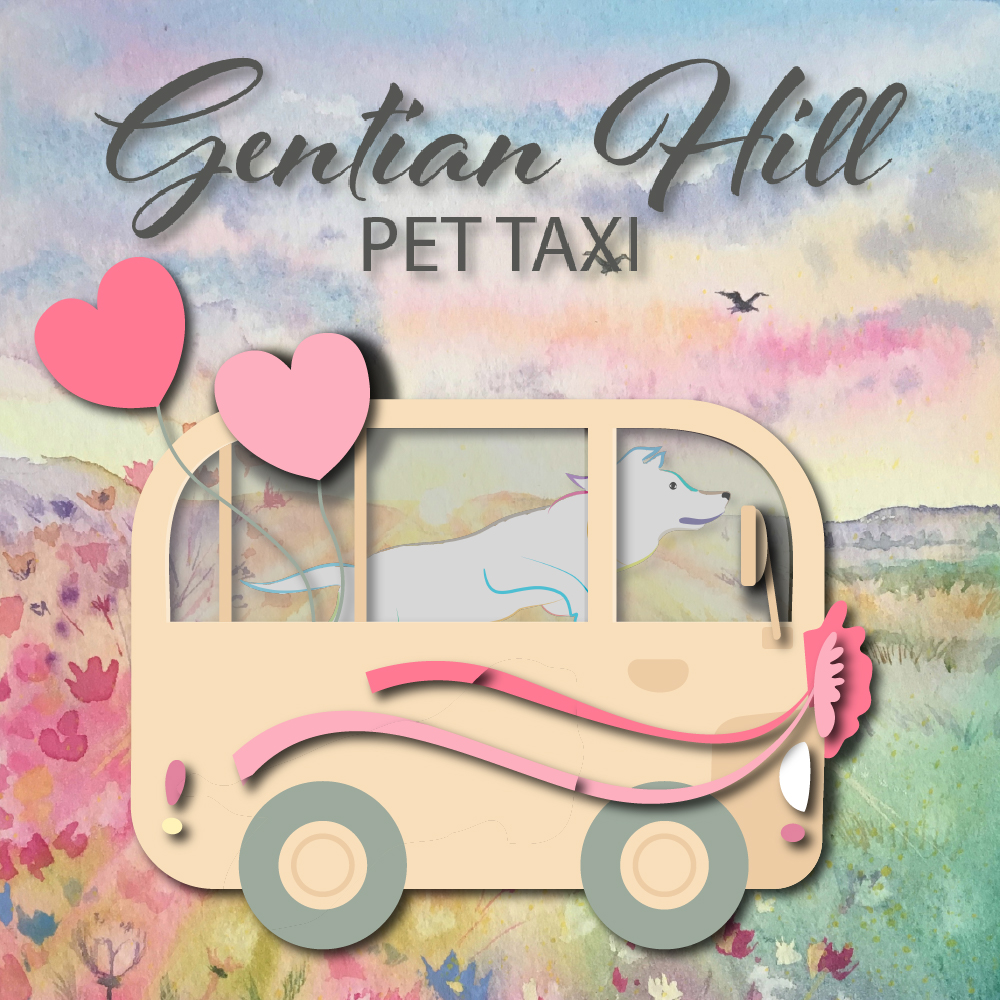 Watercolour illustration of pet taxi driving past flower meadows